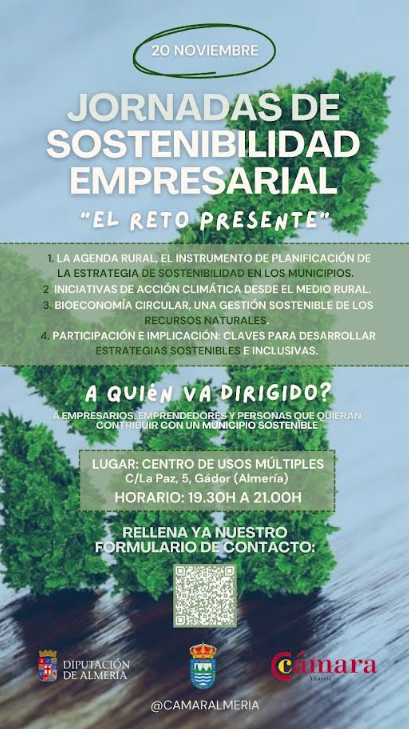 Ver imagen